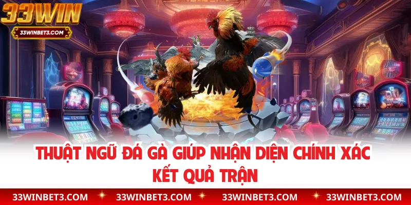 Thuật ngữ đá gà giúp nhận diện chính xác kết quả trận